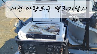 고무보트 바다낚시 서천 마량포구백조기 낚시일주일만에 두번째 출조 [upl. by Llenwahs]