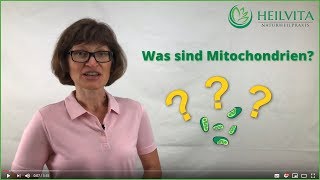 Was sind Mitochondrien Aufgabe und die Funktion  HEILVITA Naturheilpraxis [upl. by Eran]