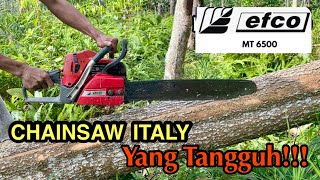 Chainsaw efco Mt 6500 membelah kayu Akasia [upl. by Drhacir]