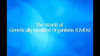 The World of Genetically Modified Organisms GMOs [upl. by Biddle]