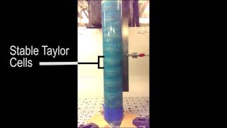 Turbulent TaylorCouette Flow Experiment [upl. by Anaillil]