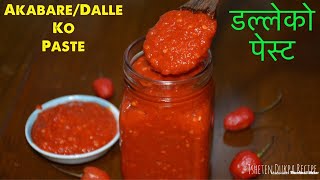 डल्ले खुर्सानीको पेस्ट यसरी बनाउनु हाेस  Chilli Paste Recipe  Akbare Khursani Ko Achar [upl. by Kettie]