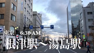 4K aWalk in Tokyo Nezu Sta to Yushima Sta AM 東京 根津駅〜湯島駅までアルク 早朝 [upl. by Arej183]