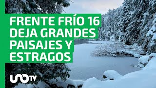 ¡Impresionante Frente frío 16 deja postales inéditas en varios puntos del país [upl. by Hagile590]