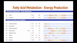 Organic Acids Test Review [upl. by Brentt]