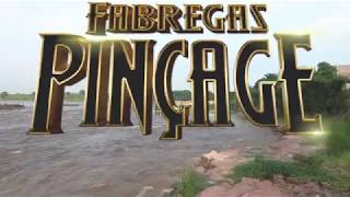 Fabregas Le Métis Noir I Pinçage [upl. by Temhem]