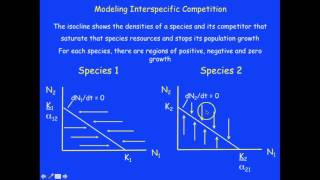 Understanding No Growth Isocline Graphs [upl. by Ahsieker]