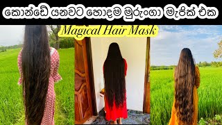 Moringa Hair Mask  මුරුංගා කොල සත්කාරය  Moringa for hair growth mydiary haircare dayvlogs [upl. by Accire]