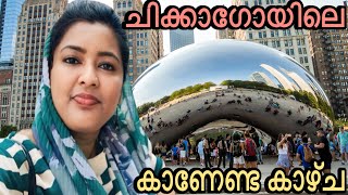 Cloud Gate In Chicago usamalayali dailyvlog chicagoattractions adayinmylife travelvlog [upl. by Swaine658]