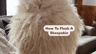 How To Flesh A Sheepskin  Prairie Shepherdess [upl. by Viscardi83]