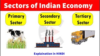 Sectors of Indian Economy  Primary Sector  Secondary Sector  Tertiary Sector [upl. by Cullen]