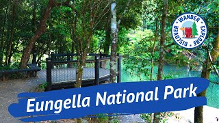 🍃 Eungella National Park  Day Trip to Spot a Platypus and Chase Waterfalls [upl. by Elwira]