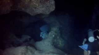 Chankanaab Cave Dive Cozumel [upl. by Arata]