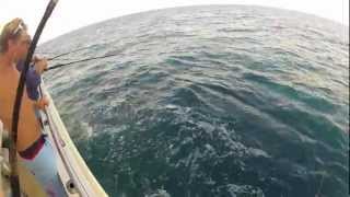 Offshore Bottom Fishing on the Majesty party boat in Jacksonville FL [upl. by Bouton]