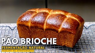 Pão Brioche de Fermentação Natural [upl. by Piegari578]