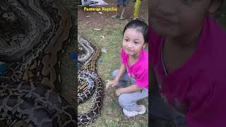 Pameran Reptilia tamanpemudapratama5841 animals reptiles kids [upl. by Levenson]