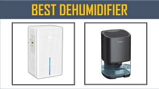 Best Dehumidifier in 2025  Top 10 Best Dehumidifier 2025 [upl. by Juster590]