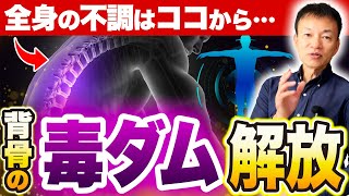 【背骨には誰も知らない毒ダムがある】全身の不調を一気に解消する奇跡の方法 [upl. by Zolnay]