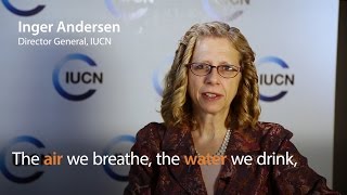 Inger Andersen – IUCN World Conservation Congress 2016 [upl. by Stenger271]