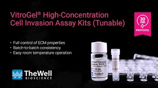 Cell Invasion Assay  Protocol for more invasion studies than animalbased ECM with VitroGel® [upl. by Budwig646]