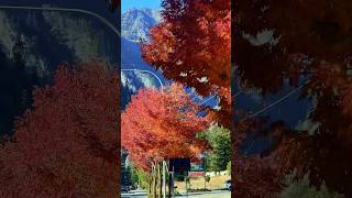 fallcolors autumn usa travel vlog [upl. by Sharleen749]