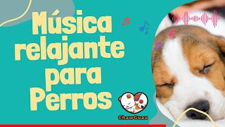 🌩️ Cómo Calmar a tu Perro con Miedo a Tormentas Eléctricas con Música Relajante ChawGuau [upl. by Nierman]