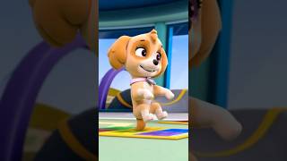 Pup Pup Boogie  Paw Patrol  Skye pawpatrol puppupboogie shorts skye pawpatrolboogie [upl. by Assiluj834]