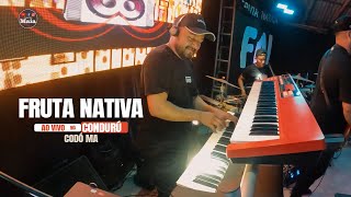 FRUTA NATIVA codó AO VIVO NO POVOADO CONDURÚ [upl. by Quintin]