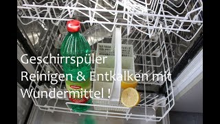 Wundermittel für Geschirrspülmaschine zum Reinigen amp Entkalken  Simply Descale the Dishwasher [upl. by Edgar]