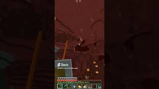 wisp Minecraft manhunt moment minecraft minecraftmanhunt wisp minecraftclutch [upl. by Dazhehs]