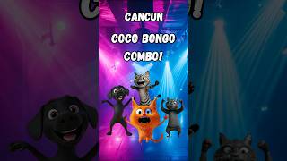 Coco Bongo Combo [upl. by Warner]