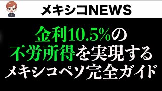 金利金利105の不労所得を実現するメキシコペソ完全ガイド [upl. by Kristofer394]