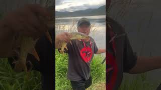 Fishing At Amazing Stagecoach Reservoir In Oak Creek Colorado Beautiful Trout fishing shorts [upl. by Ocer]