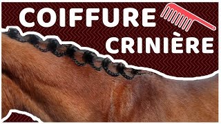 ◄ 3 idées coiffure sur crinière longue🐎 [upl. by Bobseine]