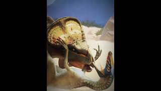 Protoceratops v Velociraptor dinosaur biology raptor ark jurassicpark animals paleontology [upl. by Dorwin142]