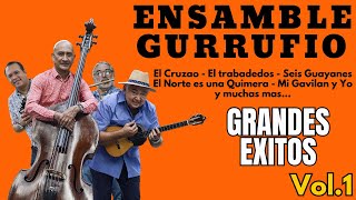 ENSAMBLE GURRUFIO EXITOS [upl. by Stormy]