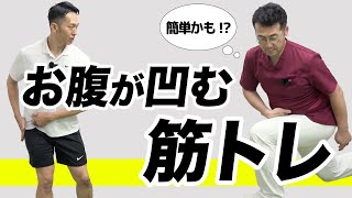 【なるべく頑張らないダイエット】お腹周りの脂肪燃焼させるスクワット中級編 [upl. by Annait]