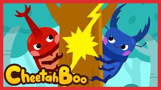 NEW Rhino Beetle vs Stag Beetle❗  Insect songs  Bugs  Nursery rhymes  Kids song  Cheetahboo [upl. by Odlanor]