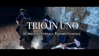 PGF Series  Trio In Uno  Chiquinha Gonzaga Radamés Gnattali [upl. by Ehcram]