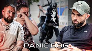 quotMon chien est devenu un CRMINEL quot  Chien AGRESSIF HUMAIN  Panic Dog Ep17 [upl. by Ylrebmyk]