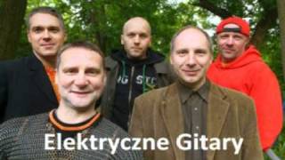 Elektryczne Gitary  Czlowiek z lisciem na glowie [upl. by Seabrooke]