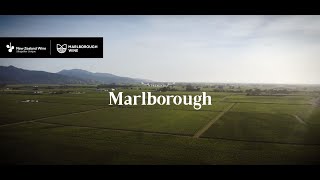 Marlborough Wine Region [upl. by Swainson]