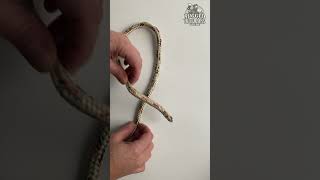 How to Tie a Noose Knot [upl. by Desi]