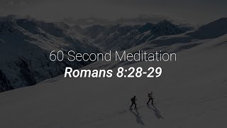 60 Second Meditation  Romans 82829 [upl. by Aisatsana]