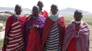 Olosho Maasai community land rights struggle in Loliondo Tanzania [upl. by Nonnek]