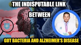 How Gut Bacteria Influence Alzheimers Disease  Dr Nandi [upl. by Oitaroh]