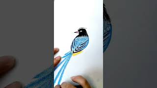 How to draw Bird  Bird drawing  Easy drawing step by step  Sketch drawing art sketch [upl. by Natalina642]