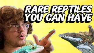 Rare Reptiles You Can Own [upl. by Neelyaj]