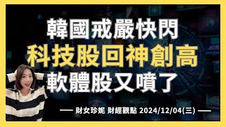 20241204三 韓國戒嚴快閃科技股回神創高，軟體股又噴了！PLTR CRM [upl. by Kciredec]