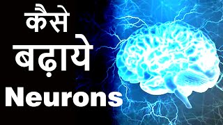 How To Increase Neurons In The Brain Neurogenesis And Neuroplasticity [upl. by Arretal162]